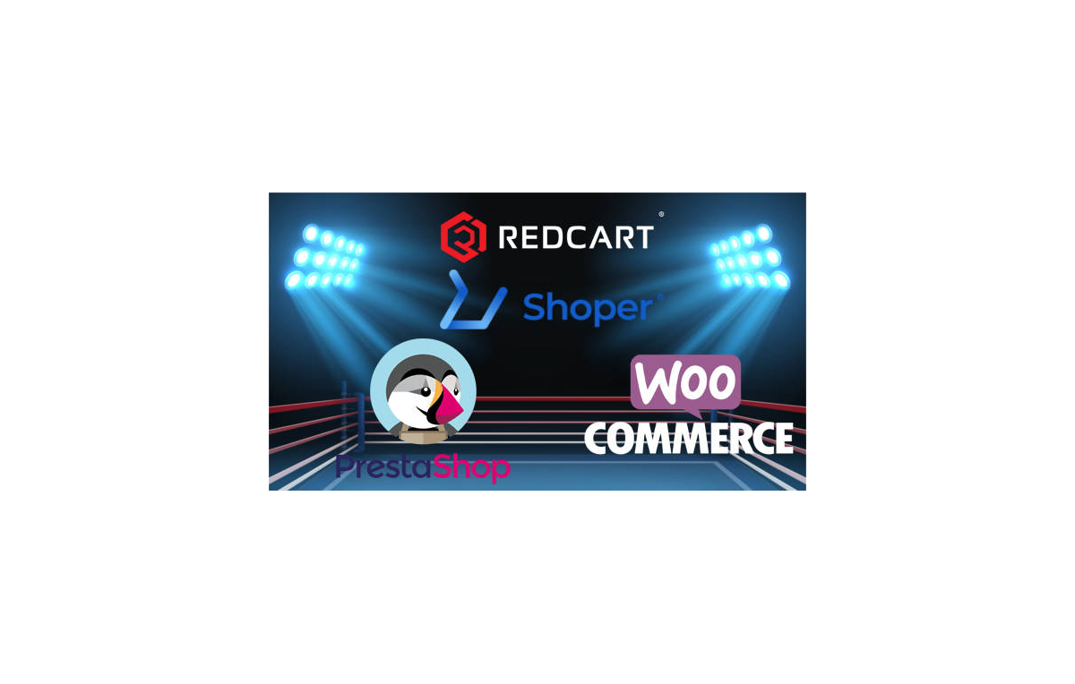 Wie und wo einen Onlineshop eröffnen: Dropshipping oder klassisch?